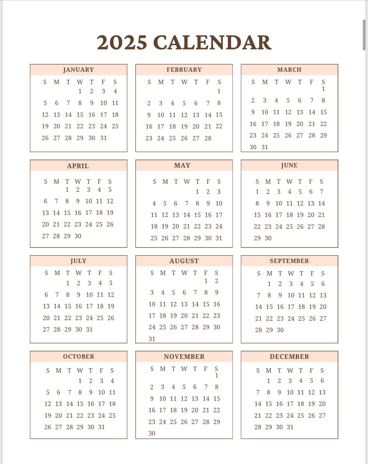 Ladies Plan the Play: 2025 Planner